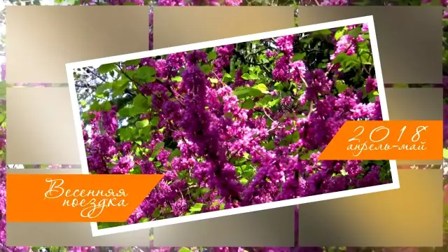 Весенняя поездка на Менорку