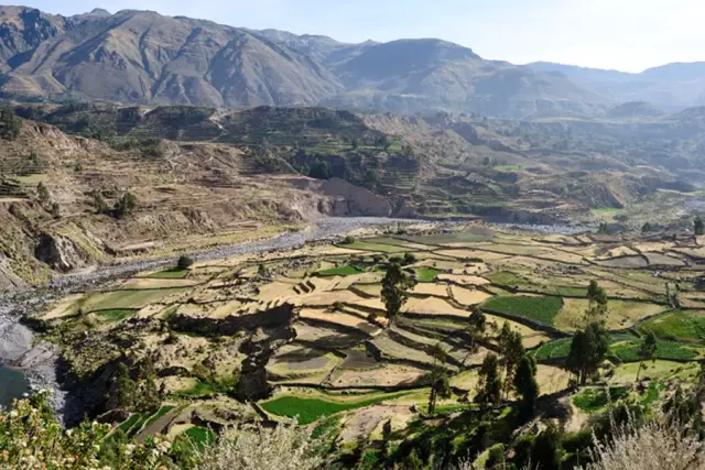 Долина Колка – Арекипа