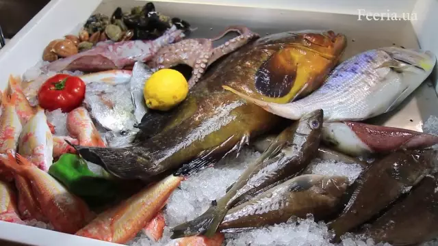 Гастрономия – Наварра