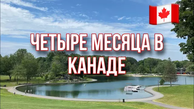 Vueling: наиболее частые жалобы и мнения пассажиров