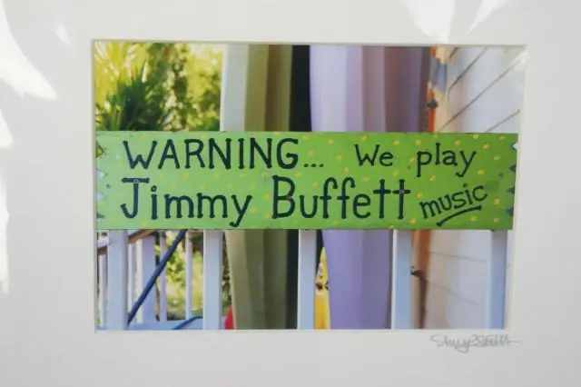 Джимми Баффет: «Сёрфинг в урагане» в «Most Jimmy Buffett Move Ever Ever»