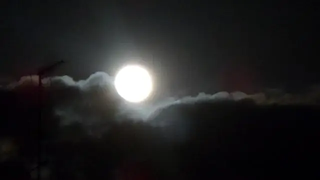 Полная луна бобра наступает ночью благодарения - так что не засыпайте сразу после обеда