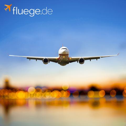 Горящие предложения по вылету из полярного вихря