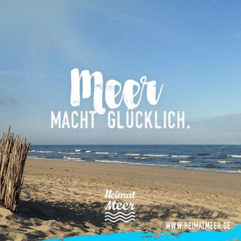 Три гавайских бренда, которые переопределят вашу сувенирную футболку