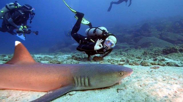 Как исследовать бурно развивающуюся художественную сцену Хьюстона