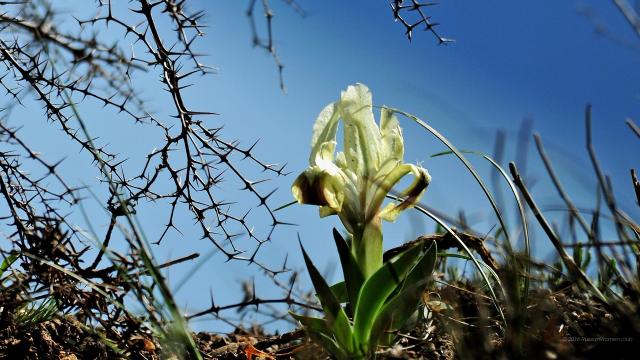 Как пережить семейный отпуск