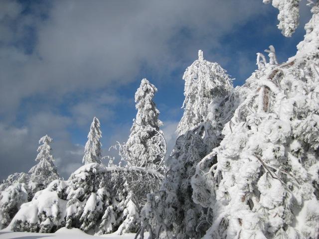 Бродячий шеф-повар: Хуан Хосе Куэвас в Пуэрто-Рико