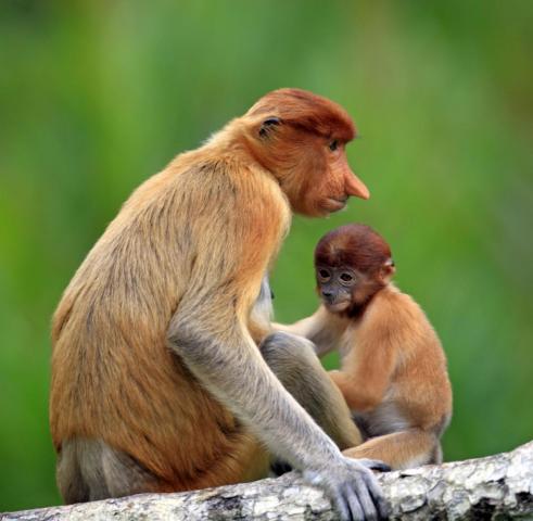 Изучение удивительной новой столицы Азии