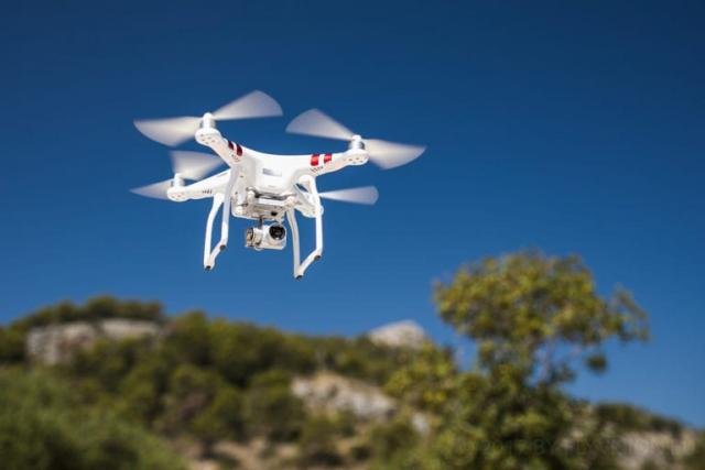 Установлены более четкие руководящие принципы для полета с животными с эмоциональной поддержкой