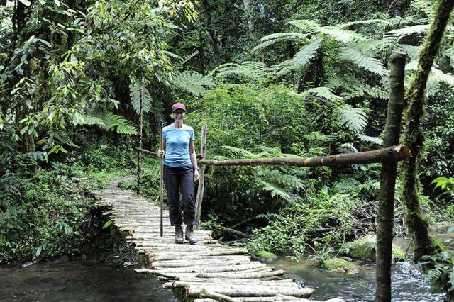 5 способов сойти с проторенного пути в Мауи