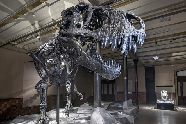 Лучшие художественные выставки в Европе этим летом