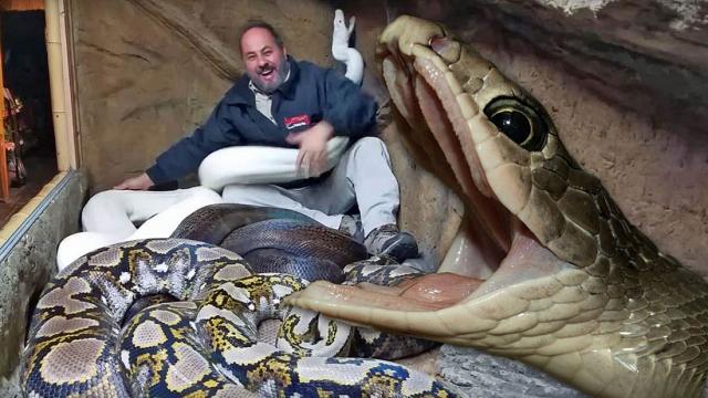 Что происходит, когда вы ставите трех лучших шеф-поваров в Мексике?