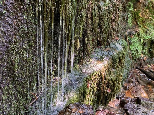 Этот маленький регион - самое легкое место для выходных в винной стране