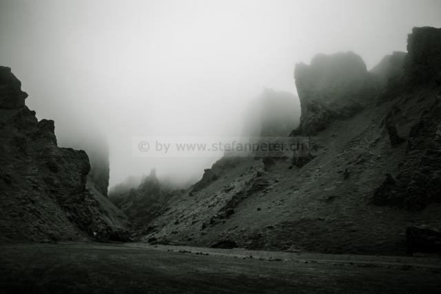 6 классических и необычных продуктов из Новой Шотландии