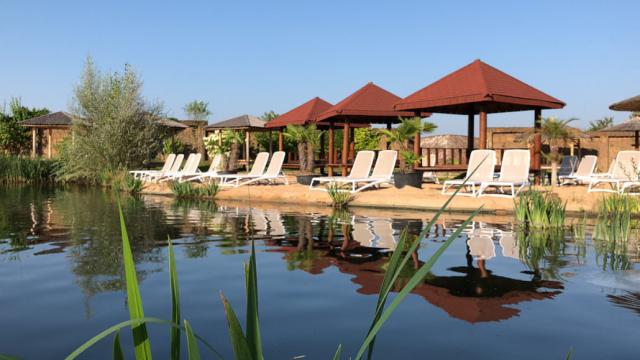 Одно летнее угощение, которое нужно попробовать во всех 50 штатах