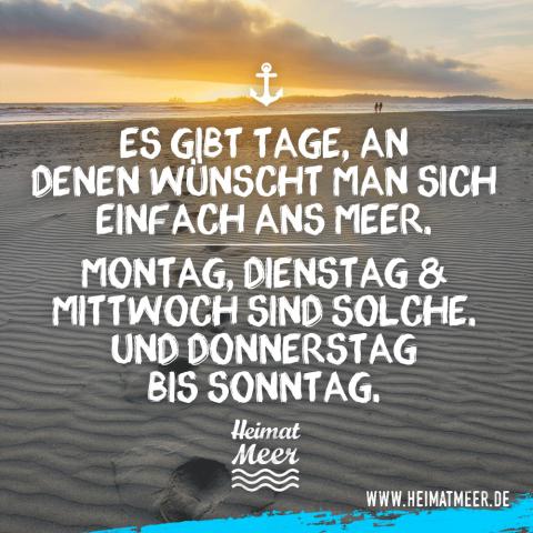 Как путешественники могут отпраздновать день вторника