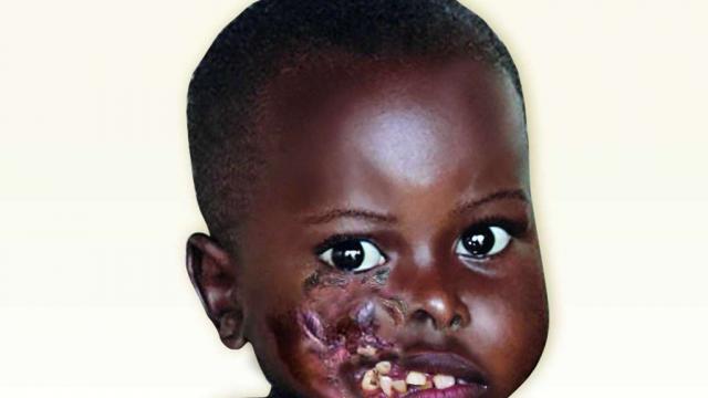 Как Нома помогла кондитеру соединиться со своими мексиканскими корнями