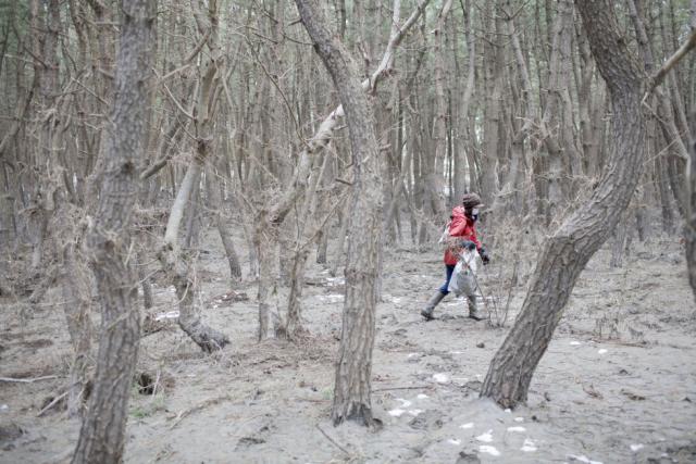 Почему вы должны поехать в Нью-Йорк этой весной