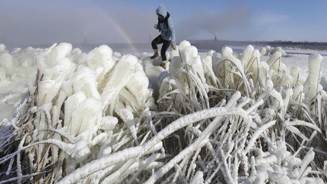 Зима становится ужасно холодной и снежной, как в «Альманахе фермеров» и «Альманахе фермеров»