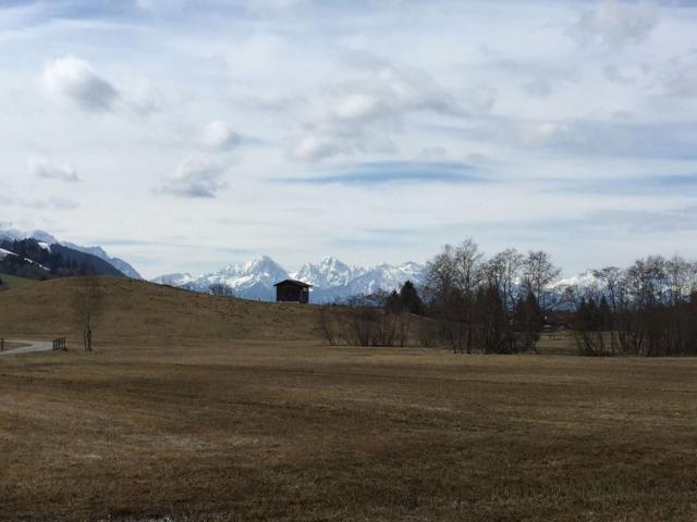Путешественники сходят с ума на веганские каникулы (хотят даже всеядные)