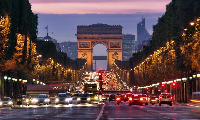 10 удивительных древних лесов по всему миру