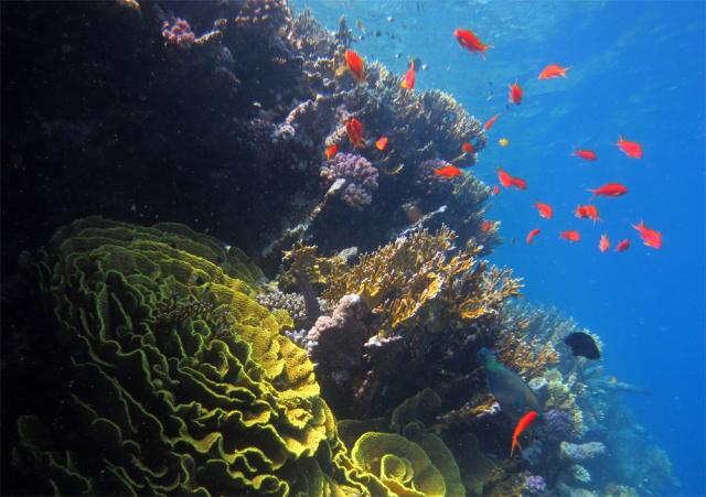 Центр внимания: Марракеш