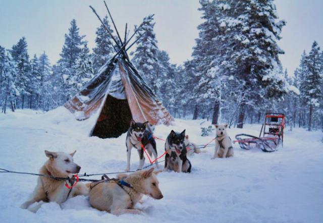 Эта зимняя страна чудес - это место, где вы бы меньше всего этого ожидали
