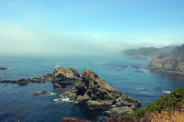 Опыт северной калифорнийской винной страны в стиле