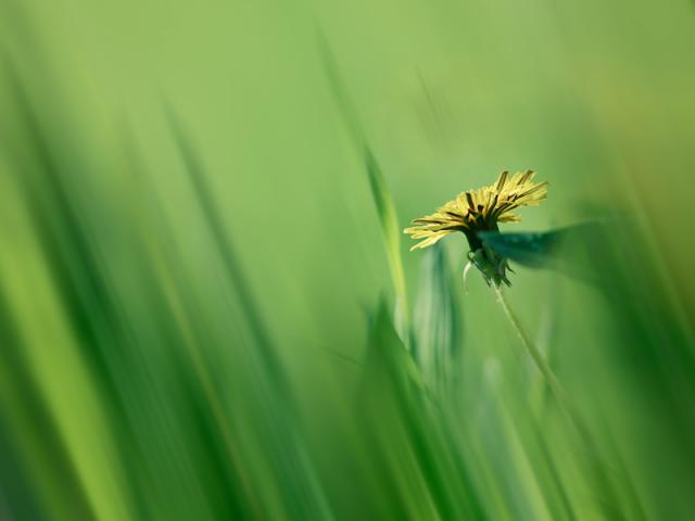 8 приключений в Национальном парке США, которые нужно испытать на всю жизнь