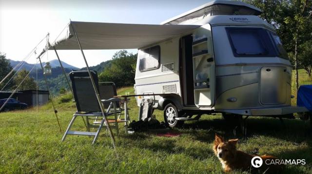 Да, с домашним животным можно выехать за границу