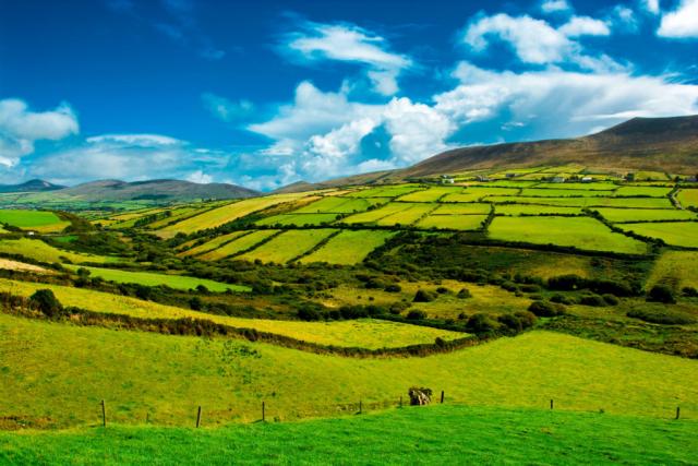 Ирландская традиция високосного года старой школы