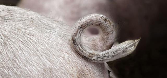 Пять вещей, которые нужно сделать после наступления темноты в Гаване