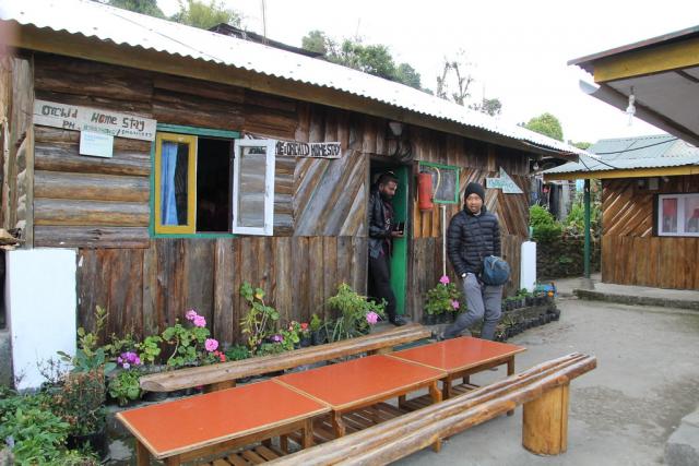 Эта сеть отелей хочет помочь вам оплатить задолженность по студенческим кредитам