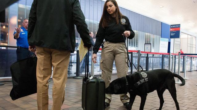 TSA внедряет новые правила переноса порошков