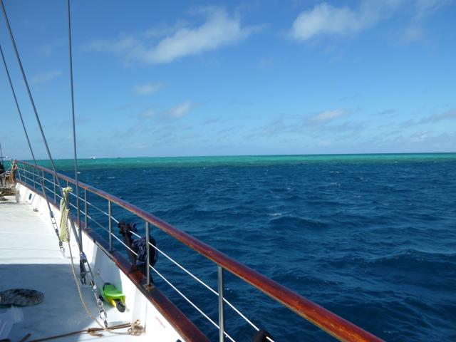 Плавайте среди звезд в этом скрытом мексиканском пляжном городке