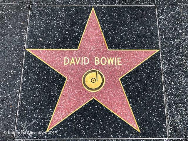 Лучший способ познакомиться с малоизвестной стороной Лос-Анджелеса