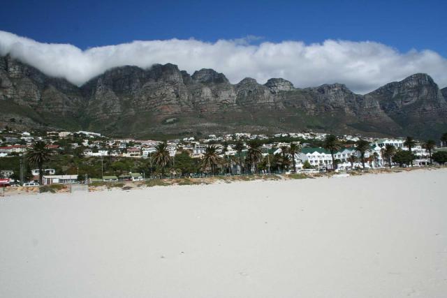 Как поймать сезон миграции Великолепной бабочки-монарха до его окончания