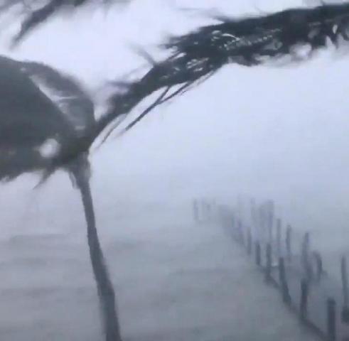 Где поесть в Джексонвилле, штат Флорида, по словам шеф-повара