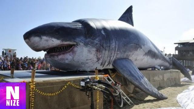 Почему миллионы людей во всем мире празднуют сегодня вечером