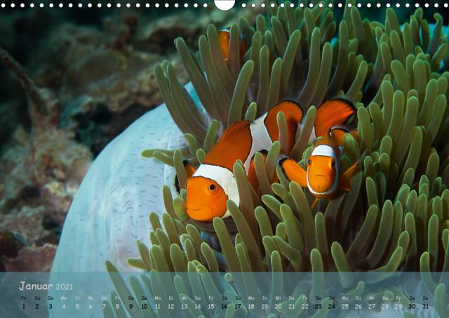 Эти красочные фотографии обеспечивают потрясающий портрет повседневной жизни в странах Африки к югу от Сахары