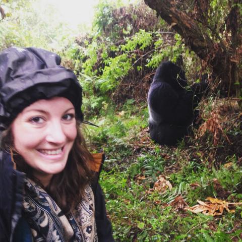 Итак, вы хотите отправиться в поход по Горилле в Уганде