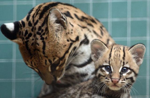 Куда пойти в Америке прямо сейчас