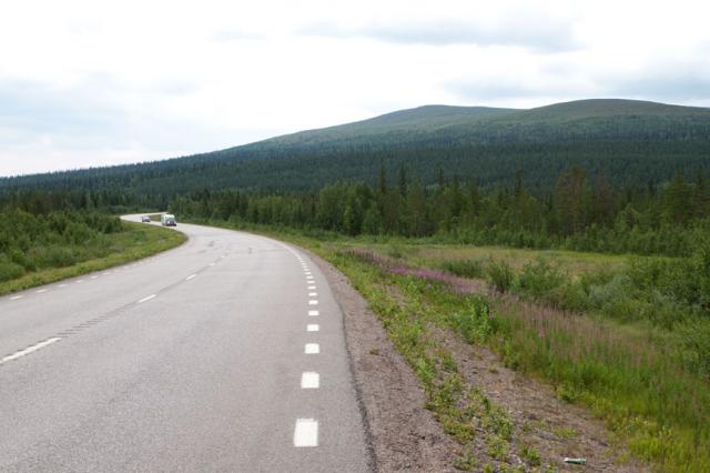 Каково это, чтобы путешествовать по стране северных оленей Швеции
