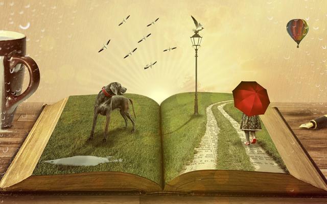 Какие книги не говорят вам о сольном путешествии по Америке