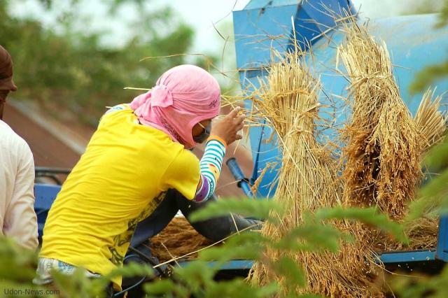 Будьте готовы влюбиться в этот бедро, Приморский город на юге Франции