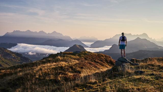 Финляндия хочет отправить вас на бесплатные летние каникулы с местным гидом
