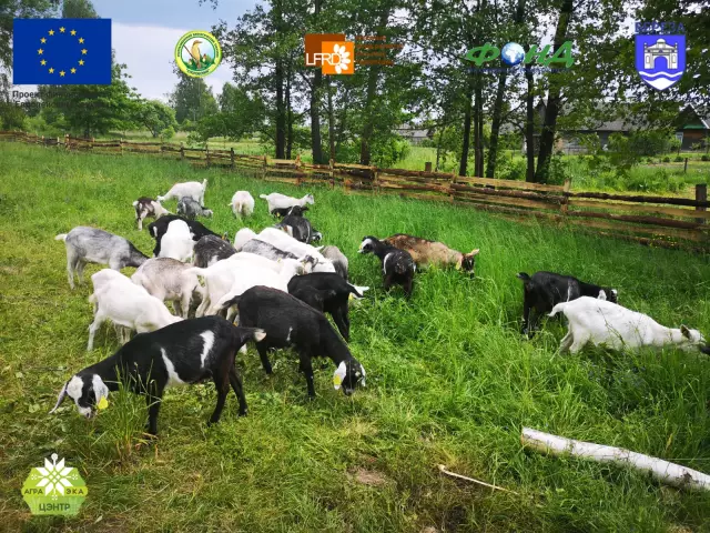 Пришло время для труб