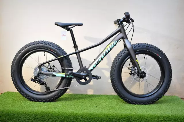 Специализированный Fatboy 20
