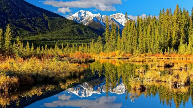 14 Библейские тесты для велосипедов. Круглый стол. Инстинкт Скалистых гор. Выпуск 970 MSL BC