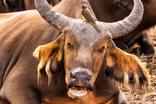 Как Тур выиграл (и проиграл)